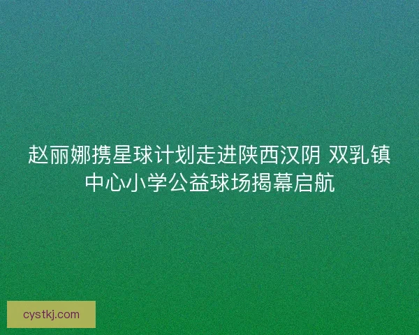 赵丽娜携星球计划走进陕西汉阴 双乳镇中心小学公益球场揭幕启航